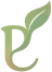 PalClavo